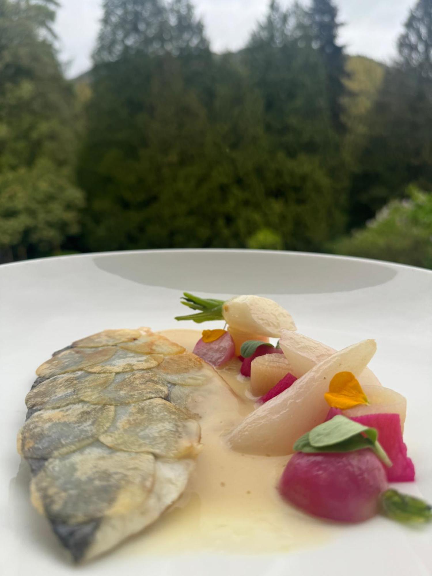 Bel Air Trail & Wellness 4* Echternach